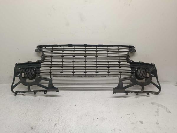 CALANDRE PEUGEOT - Vue 1